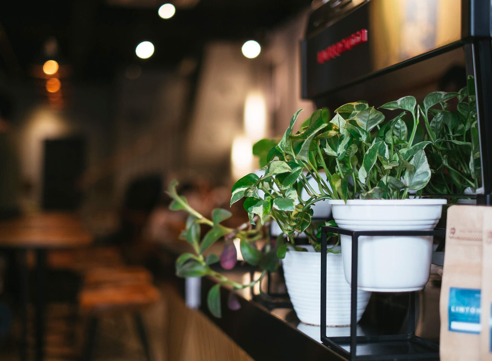 Chief Barbershop & Coffee - Manual Jakarta