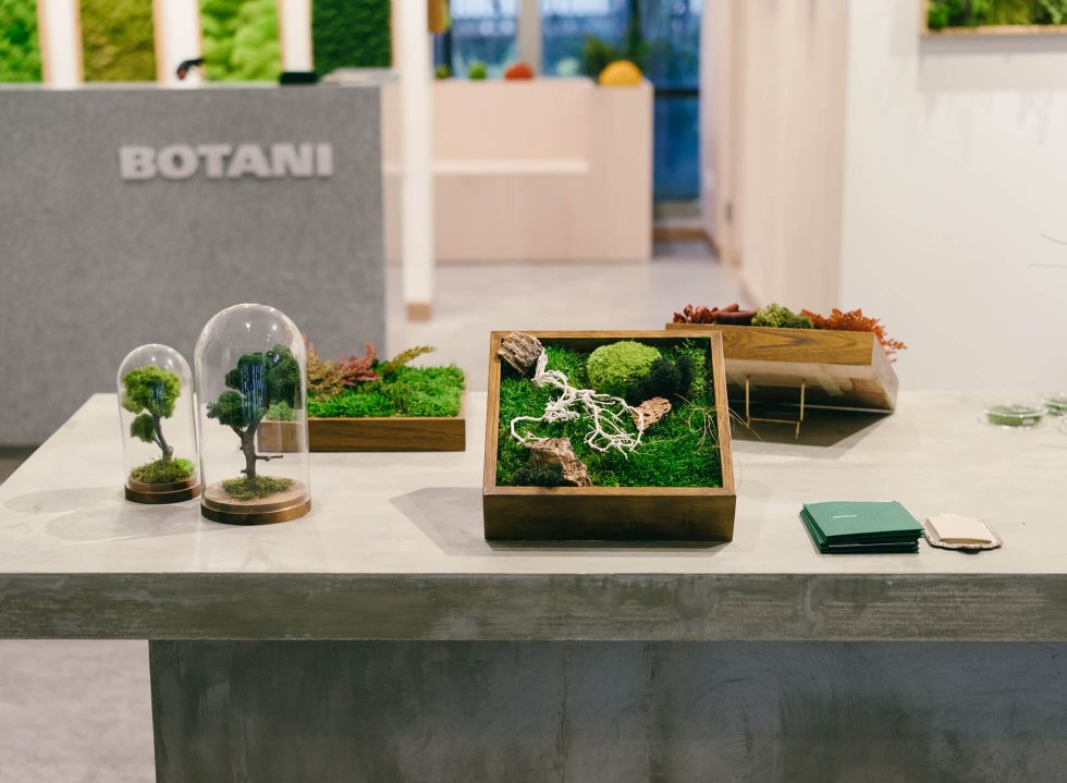 BOTANI’s Imaginative Moss Garden