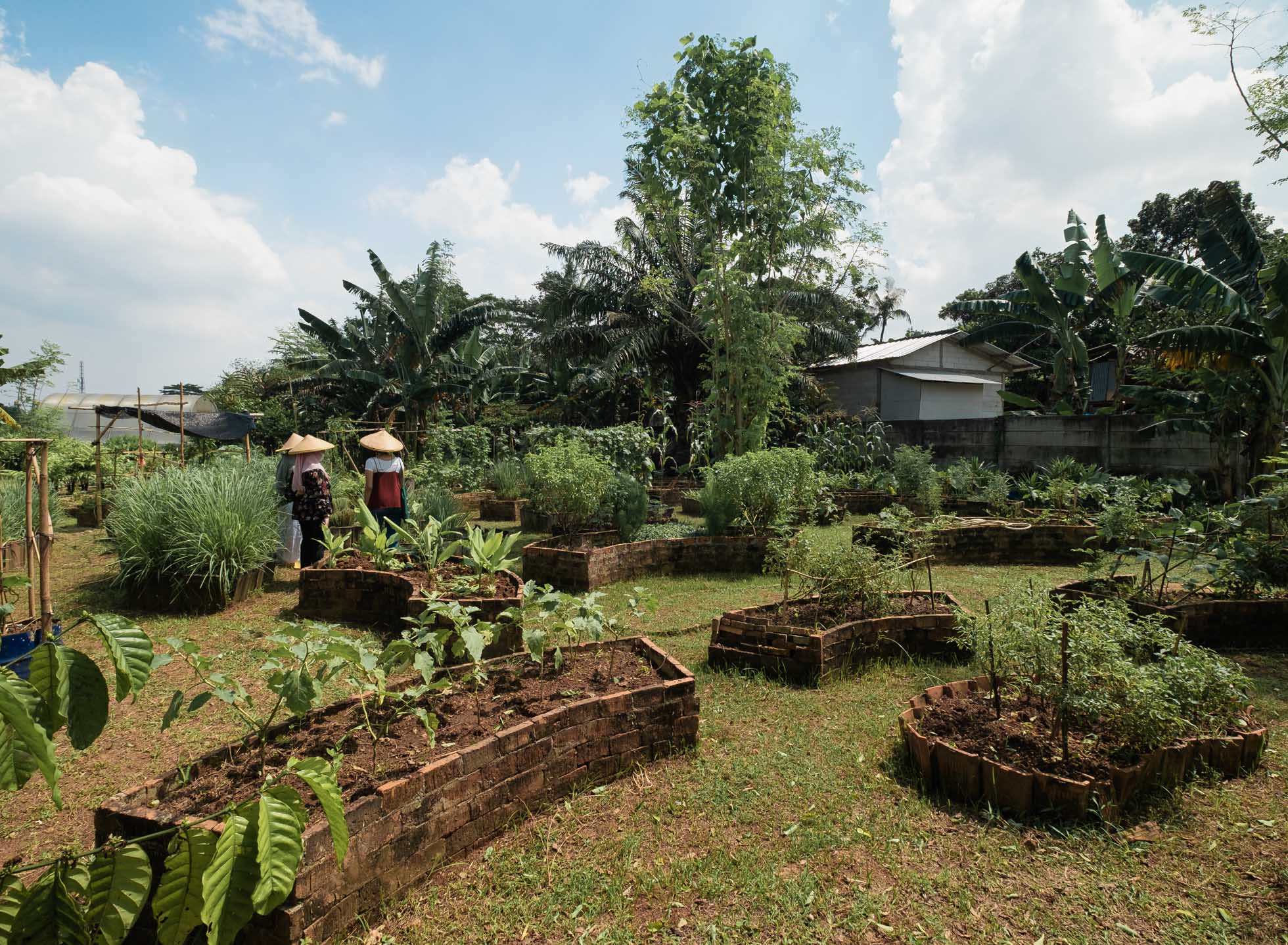 Manual Excursion: Javara Culture Garden Store - Manual Jakarta