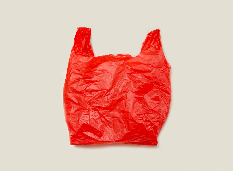 One Year Later: Single-use Plastic Bags