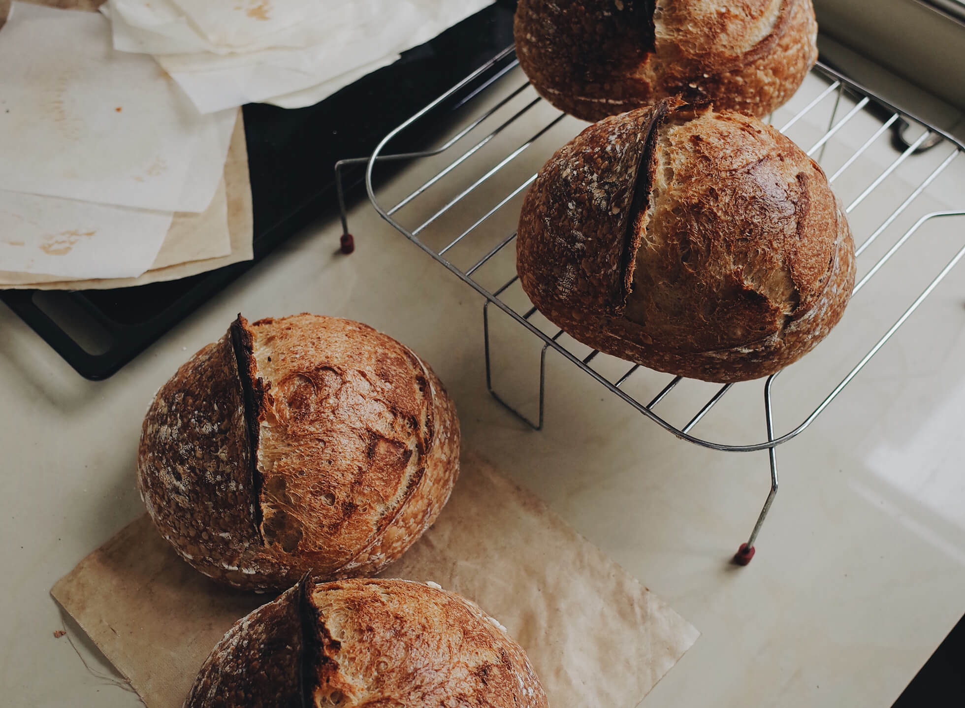 The Rise of Sourdough Manual Jakarta