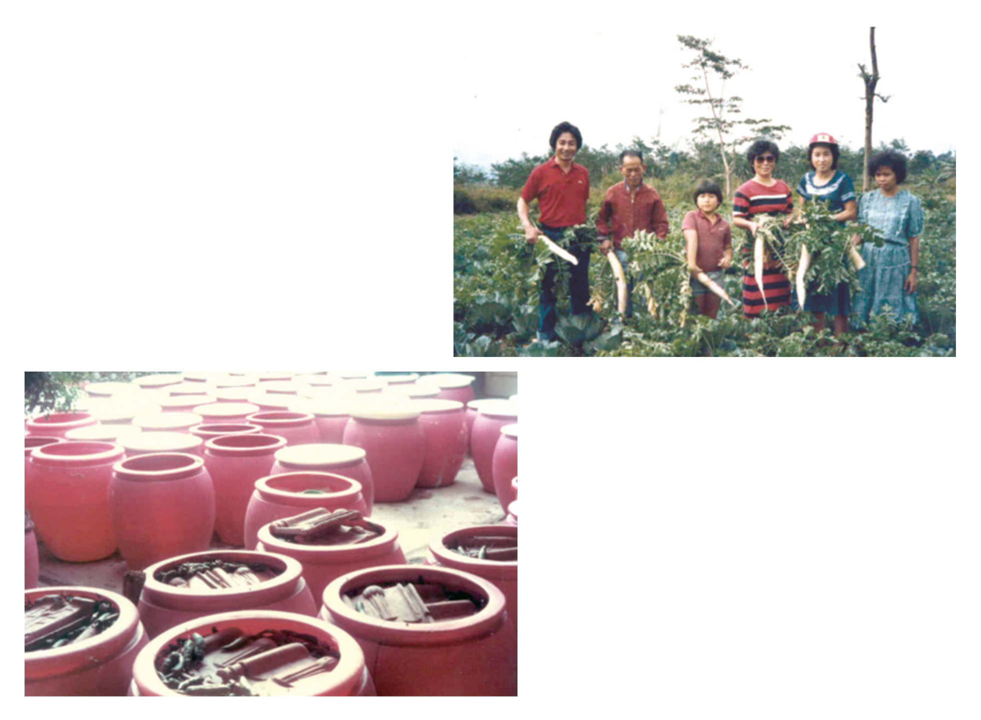 Across Generations, Mu Gung Hwa Blooms Manual Jakarta