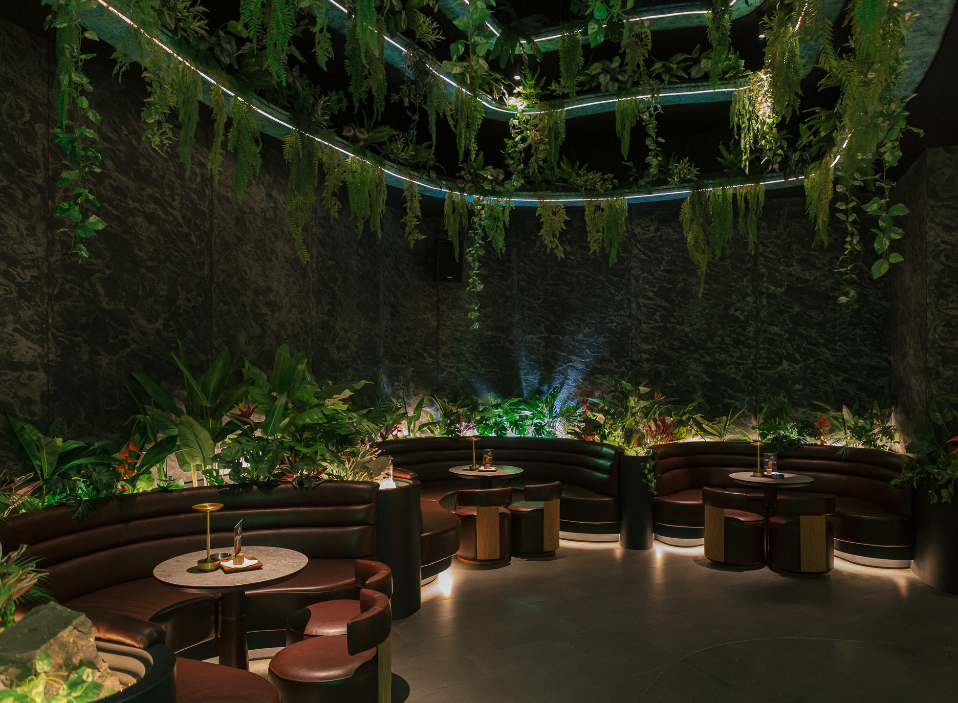 To the CONGO Rhythm - Manual Jakarta