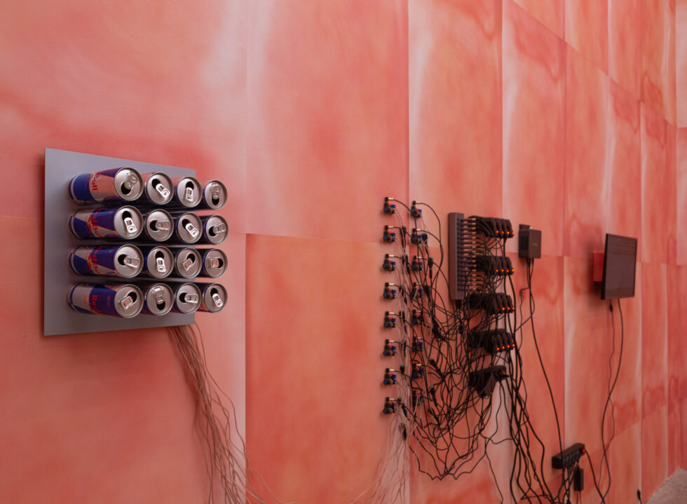Tromarama Navigates The Thinning Line Between Reality and the Digital