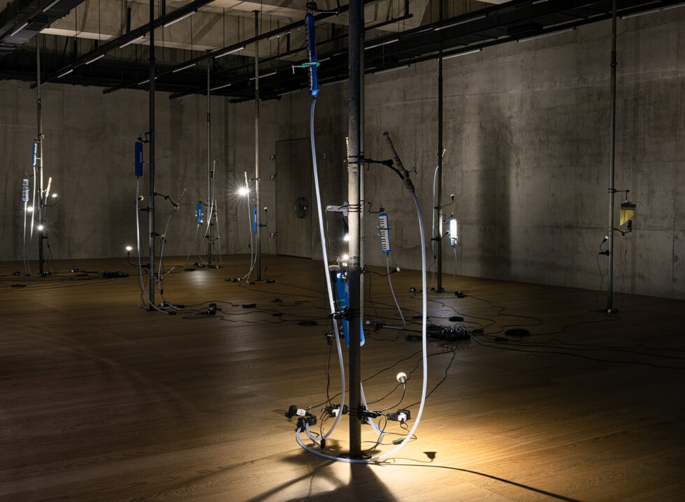 Tromarama Navigates The Thinning Line Between Reality and the Digital