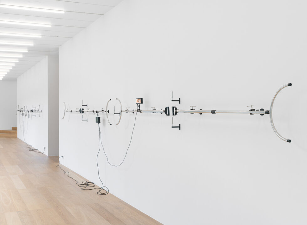 Tromarama Navigates The Thinning Line Between Reality and the Digital