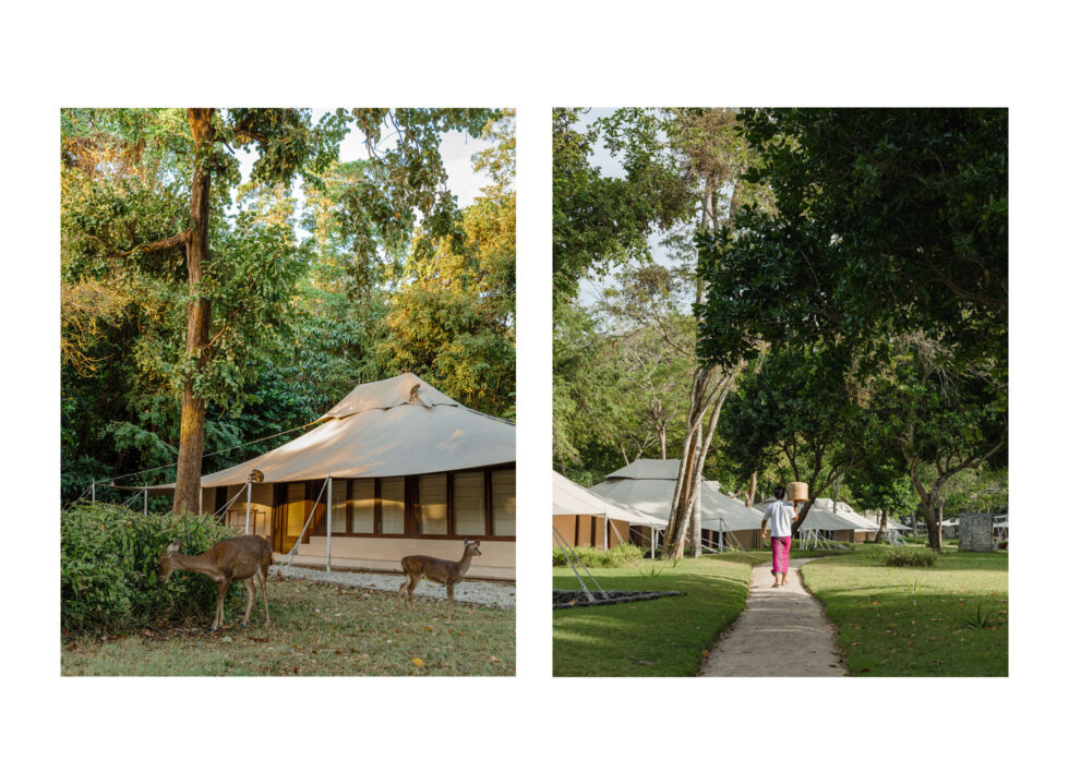 At Amanwana, Nature is the Host