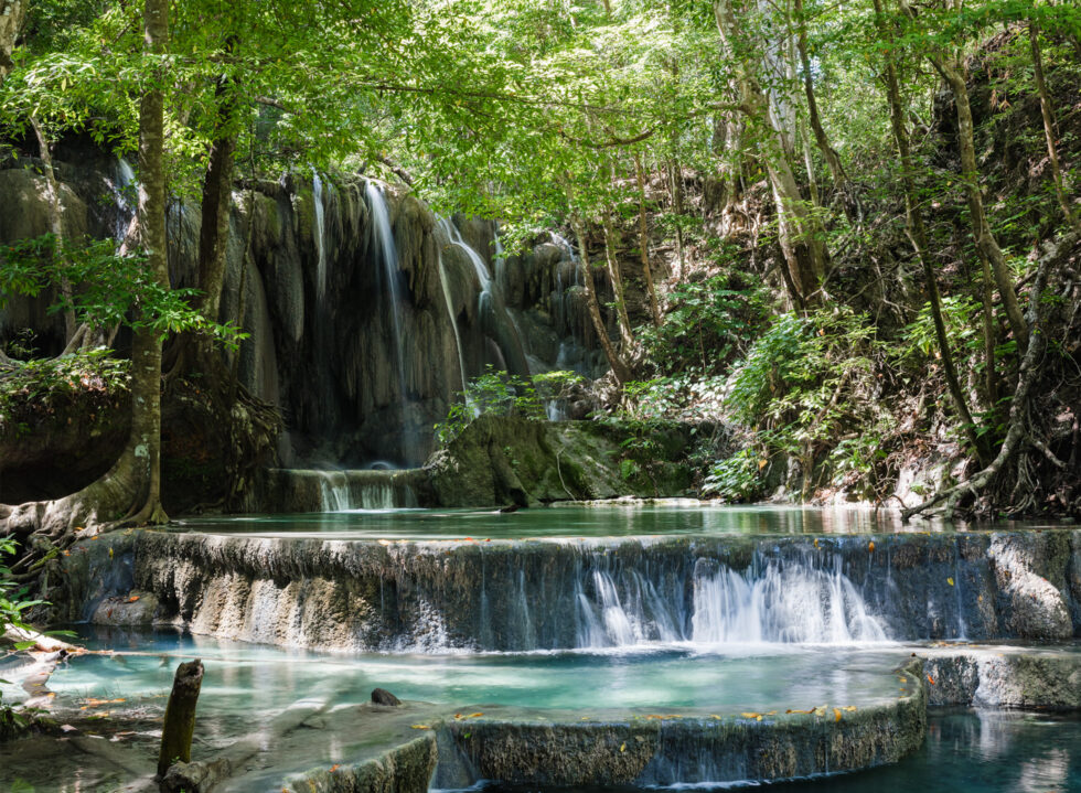 At Amanwana, Nature is the Host