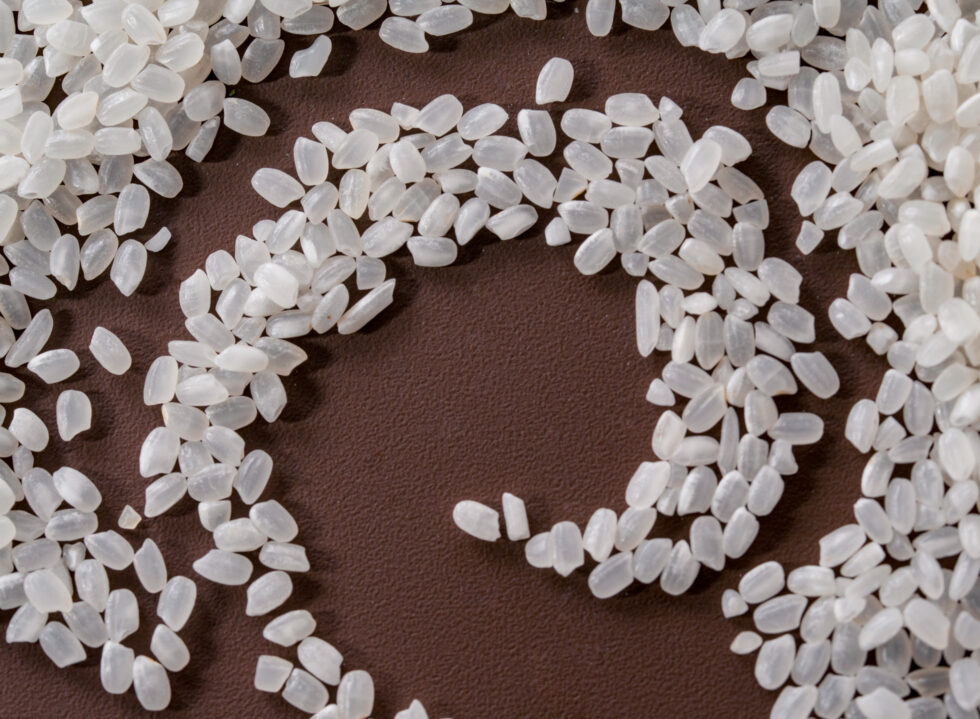 In the Grains of Kaze Rice: Traditions, Community and the Land