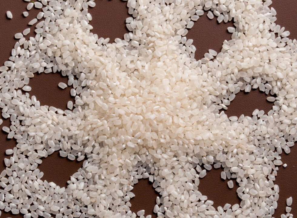 In the Grains of Kaze Rice: Traditions, Community and the Land