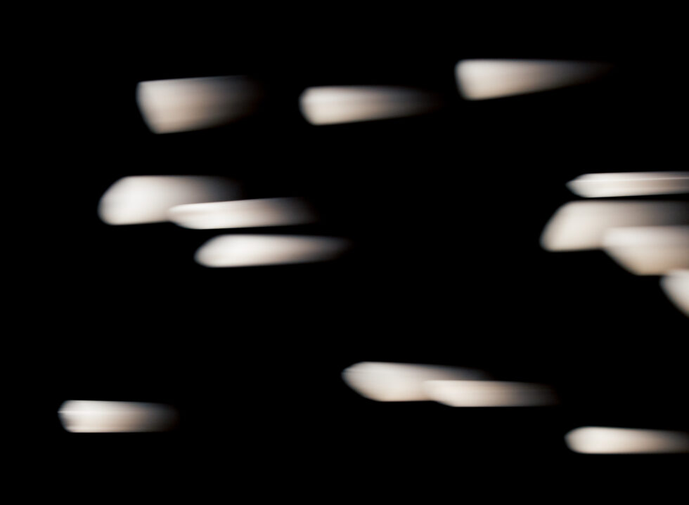 In the Grains of Kaze Rice: Traditions, Community and the Land