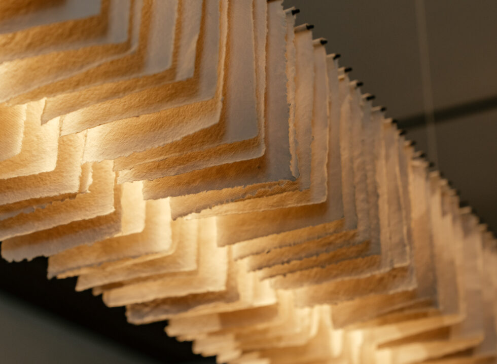 Louie Coffee’s New Chapter